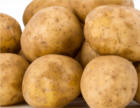 potato